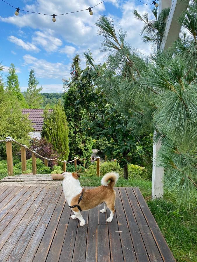 Hotel Casa Cu Suflet Sighişoara Exteriér fotografie