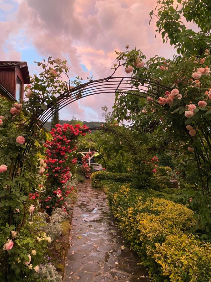 Hotel Casa Cu Suflet Sighişoara Exteriér fotografie