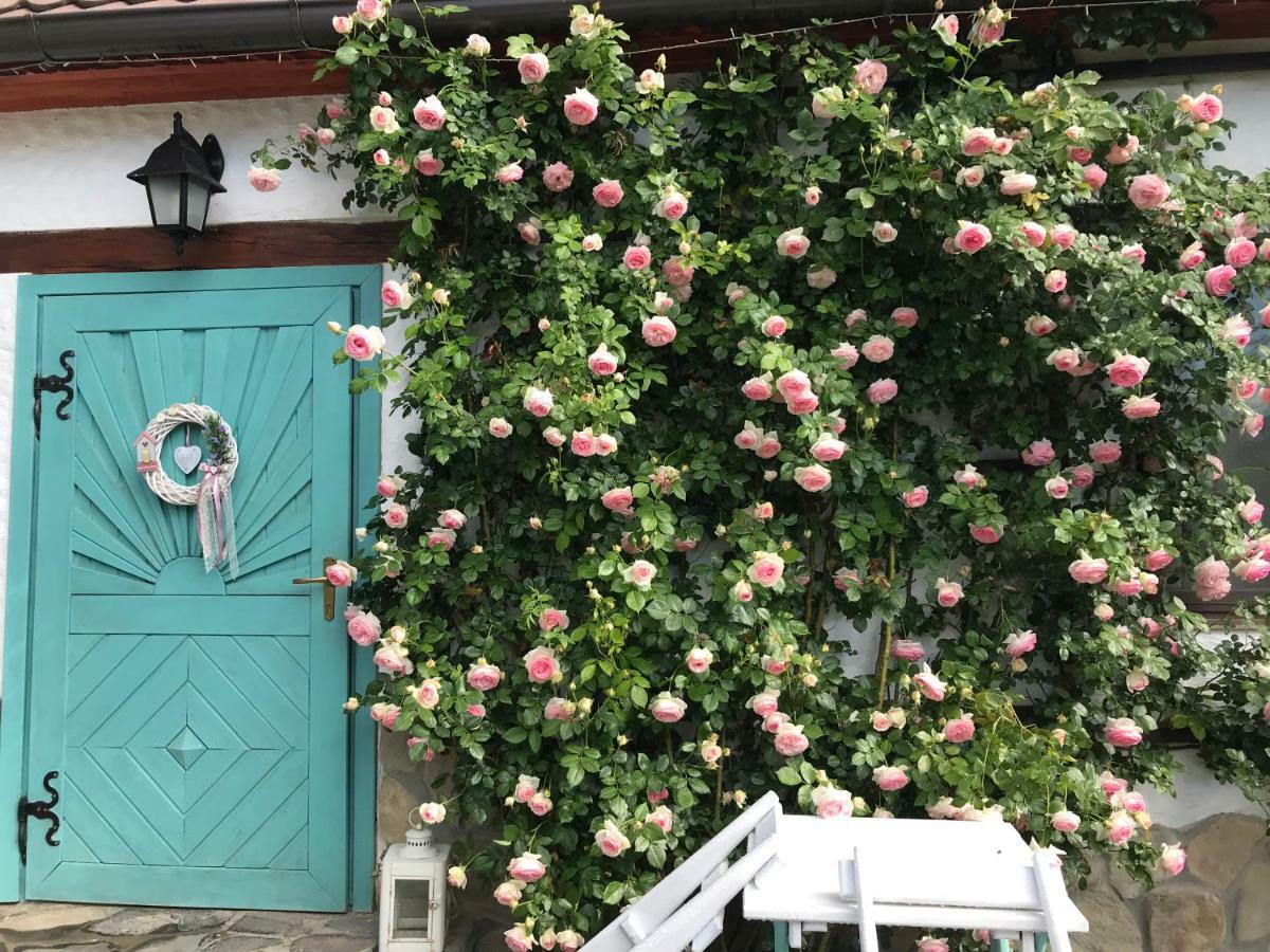 Hotel Casa Cu Suflet Sighişoara Exteriér fotografie