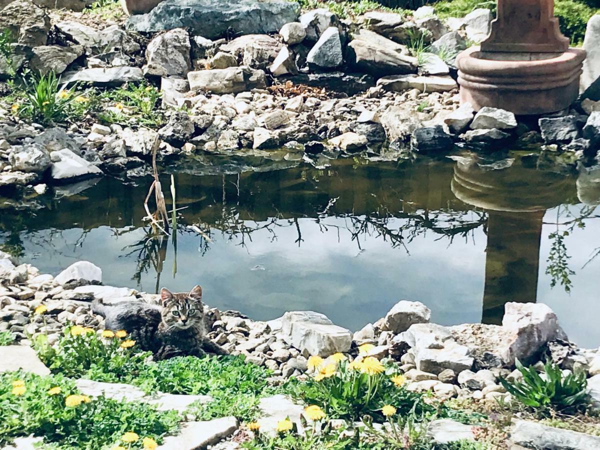 Hotel Casa Cu Suflet Sighişoara Exteriér fotografie